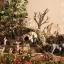 Presepe 