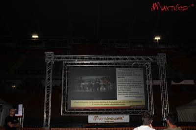 Italia Wave Love Festival 2011