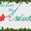 Buone Feste da Asdovos