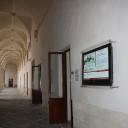 Rettorato