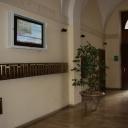 Dipartimento Lingue e Letterature Straniere